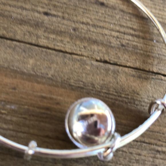 Alex and Ani Amethyst Birthstone Crystal Silver Adjustable Charm Bracelet! EUC - Picture 8 of 10